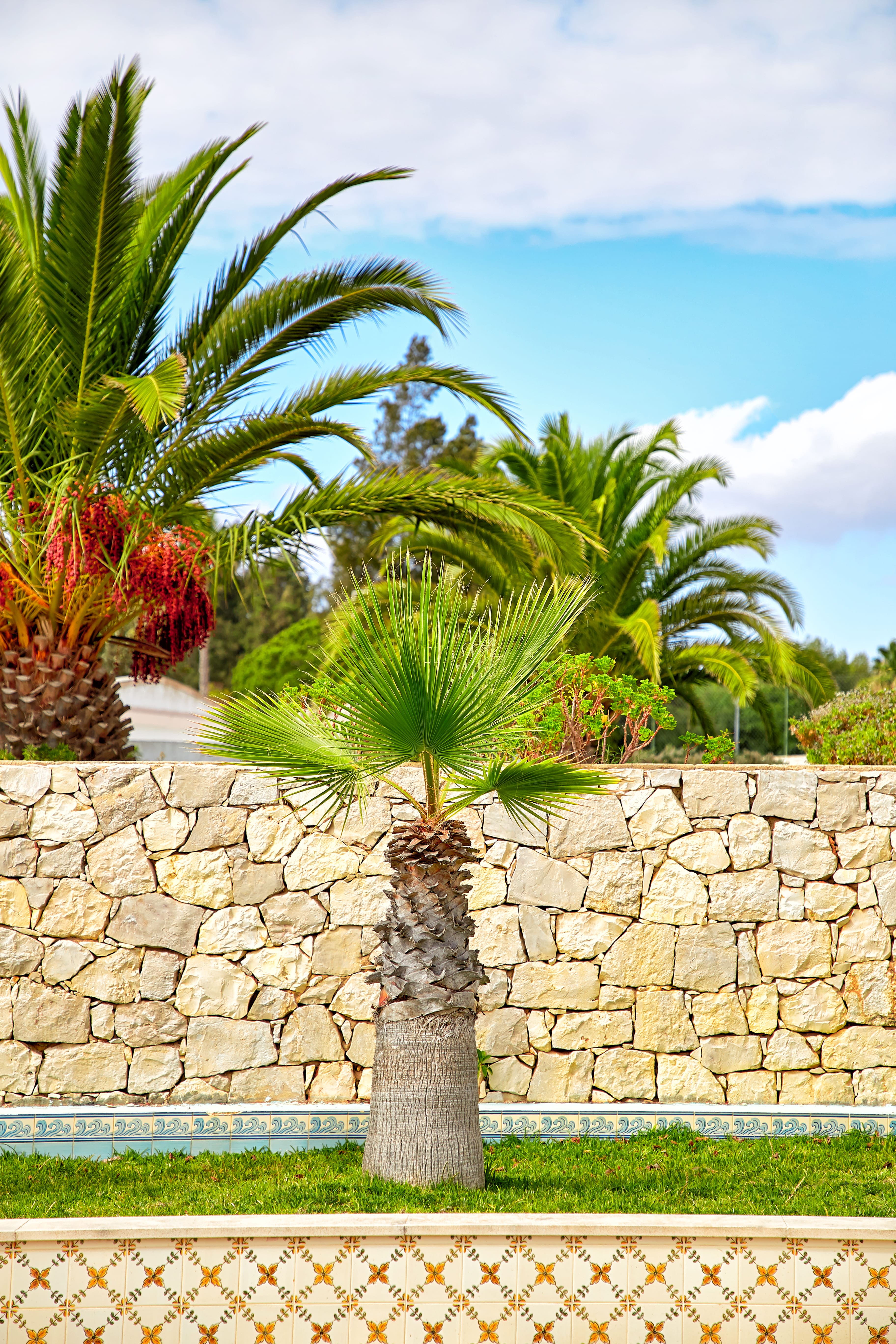 artista trabajando en un estudio de techos altos Palmera con un muro de piedra artificial al fondo