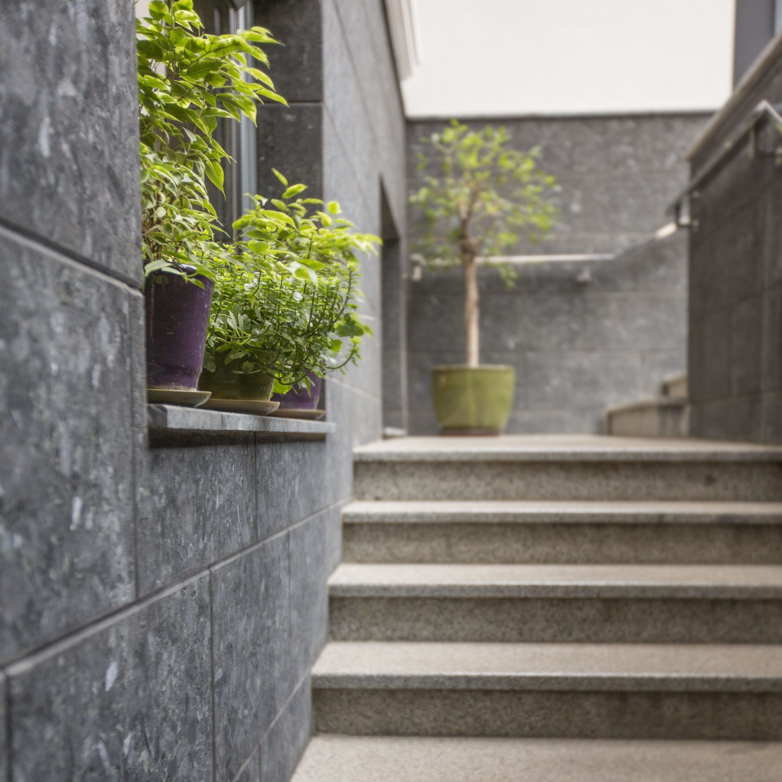 fachada de piedra artificial con plantas y una escalera fachada de piedra artificial con plantas y una escalera