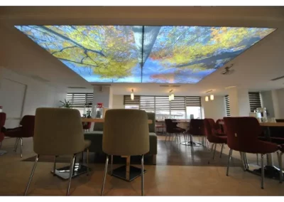 techo tensado impreso