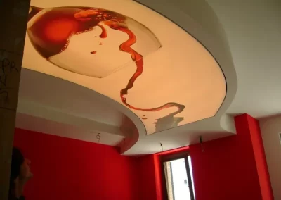 techo tensado impreso